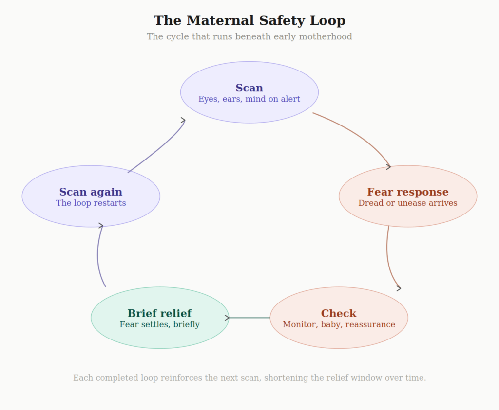 The maternal safety loop diagram showing the five stages of postpartum anxiety scanning: scan, fear response, check, brief relief, scan again.