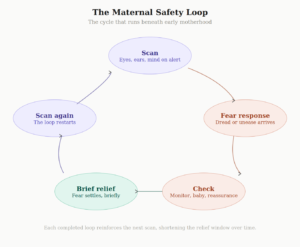 The maternal safety loop diagram showing the five stages of postpartum anxiety scanning: scan, fear response, check, brief relief, scan again.